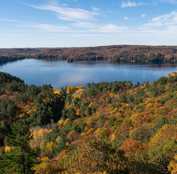 McGillis Legal, Paralegal Services Muskoka, Ontario